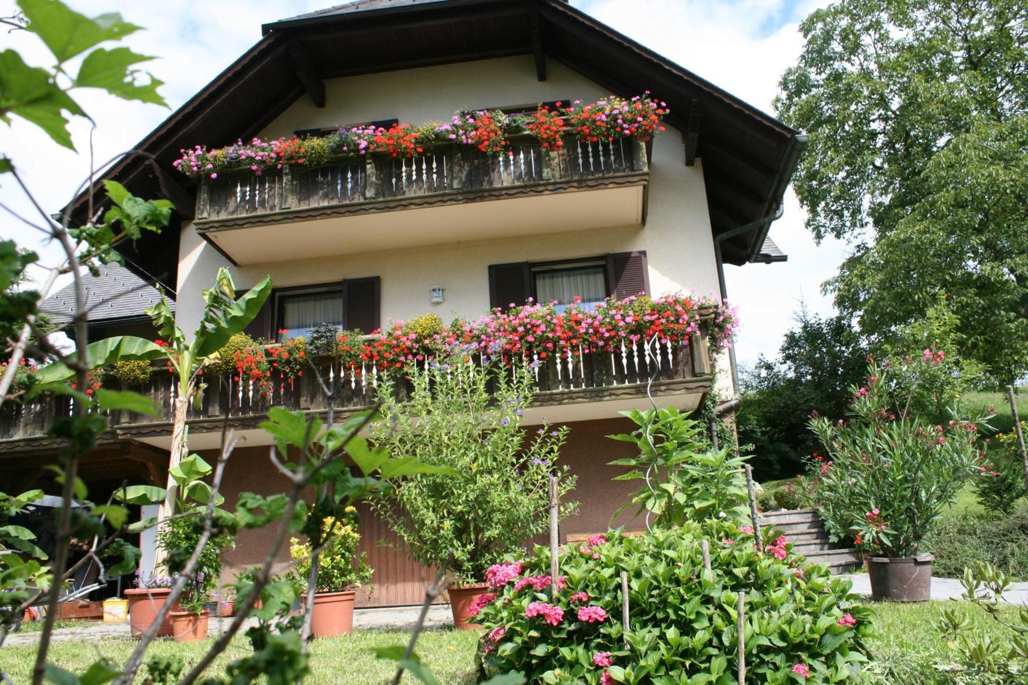 Gasthaus - Gaestehaus Schusterbauer Rein ภายนอก รูปภาพ
